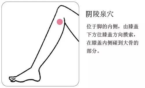 水腫、濕疹、關(guān)節(jié)酸痛...你該幫身體祛濕了！