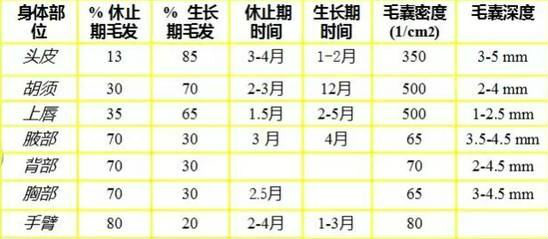 激光脫毛效果,影響脫毛因數(shù),脫毛儀器廠家,脫毛激光產品