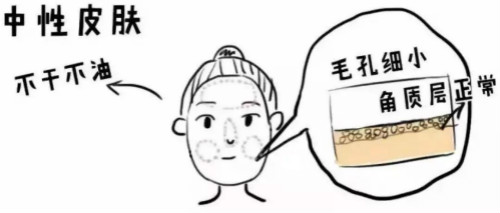 小氣泡為何如此受歡迎？