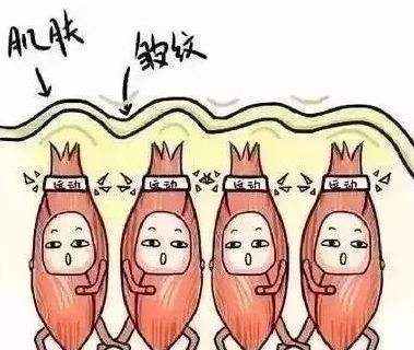 美容儀器廠家?guī)懔私忪o態(tài)皺紋和動態(tài)皺紋