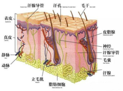 激光美容儀器有什么獨(dú)特之處？