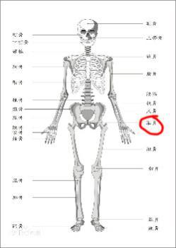 分娩后為什么盆骨會(huì)疼，盆骨肌修復(fù)儀是如何工作的？