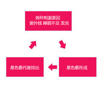 想變白？！你一定要知道的四件事