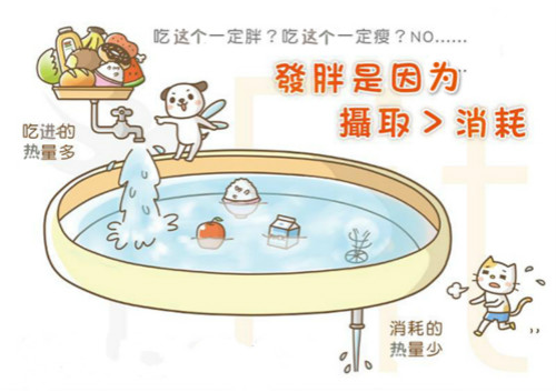 發(fā)胖是因為攝取＞消耗