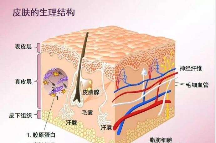 智能魔鏡皮膚檢測儀，讓您護(hù)膚之前先認(rèn)清自己的“臉”